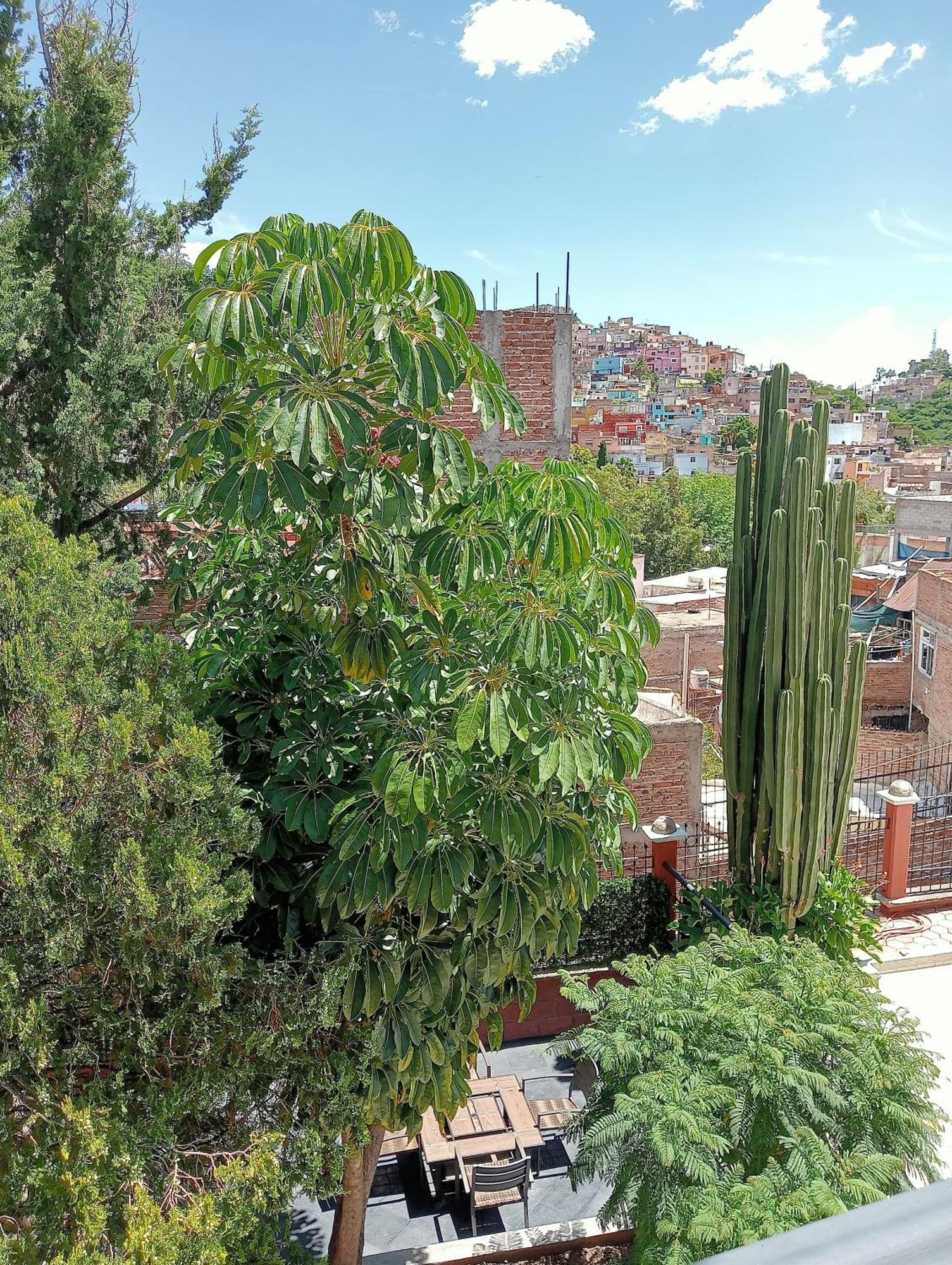 Quinta Mercedes Guanajuato Eksteriør bilde